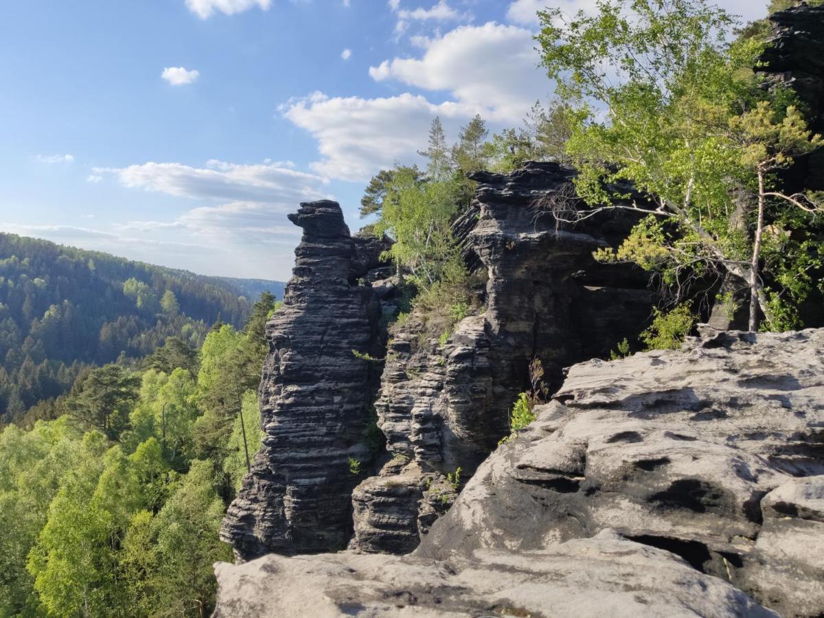 Ferienwohnung Bastei Rosenthal-Bielatal Bagian luar foto
