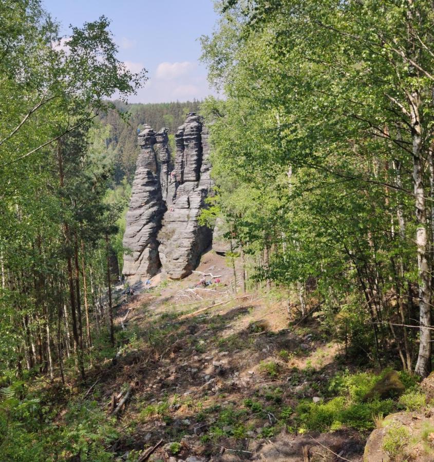 Ferienwohnung Bastei Rosenthal-Bielatal Bagian luar foto