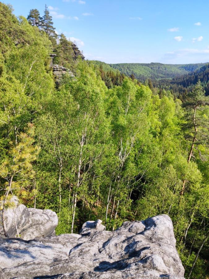 Ferienwohnung Bastei Rosenthal-Bielatal Bagian luar foto